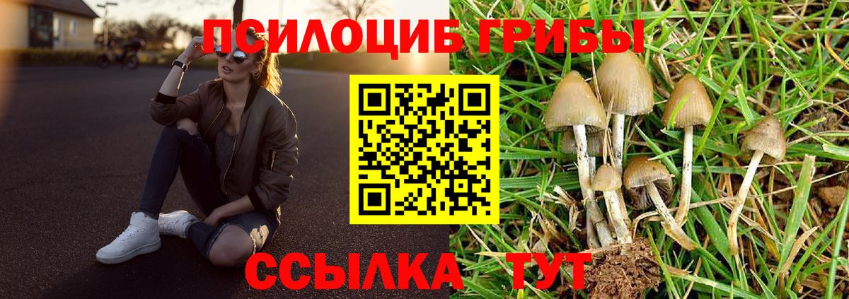 Галлюциногенные грибы MAGIC MUSHROOMS Орехово-Зуево